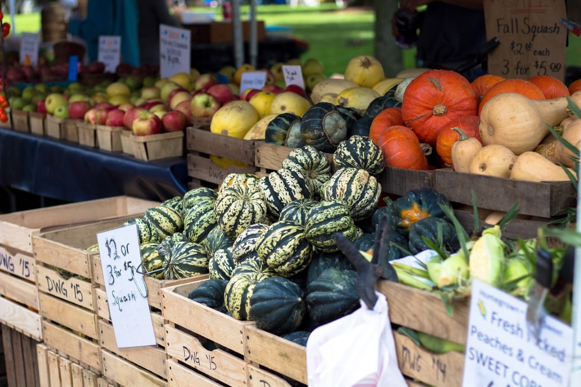 New York Farmer’s Market Guide: The Best Fall Vegetables