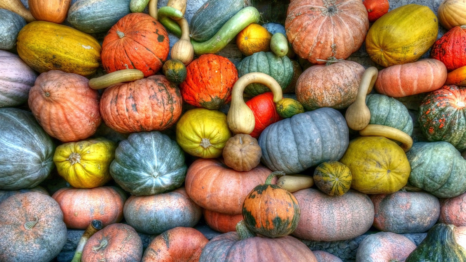 Fall Vegetables: Recipes, Shopping, and More