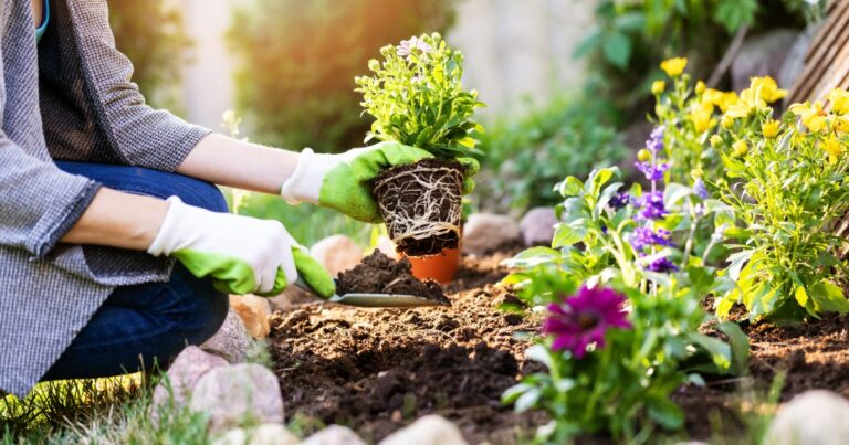 The Positive Impact of Gardening on Health and Wellness